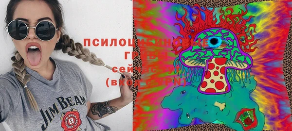 таблы Алексеевка