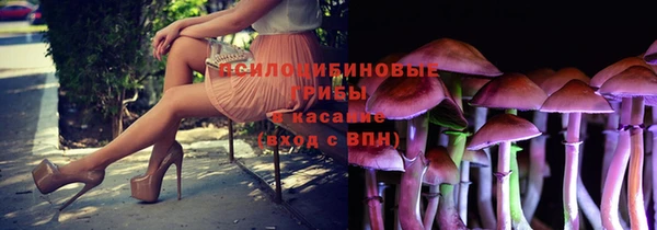 круглые Алексин
