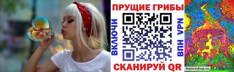 Псилоцибиновые грибы GOLDEN TEACHER  Чухлома 