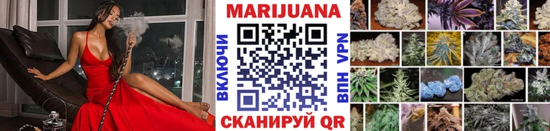 купить наркоту  Чухлома  omg как войти  Канабис сатива 